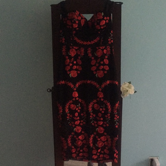 Nasty Gal Sworn to Secrecy embroidered dress - Picture 8 of 8